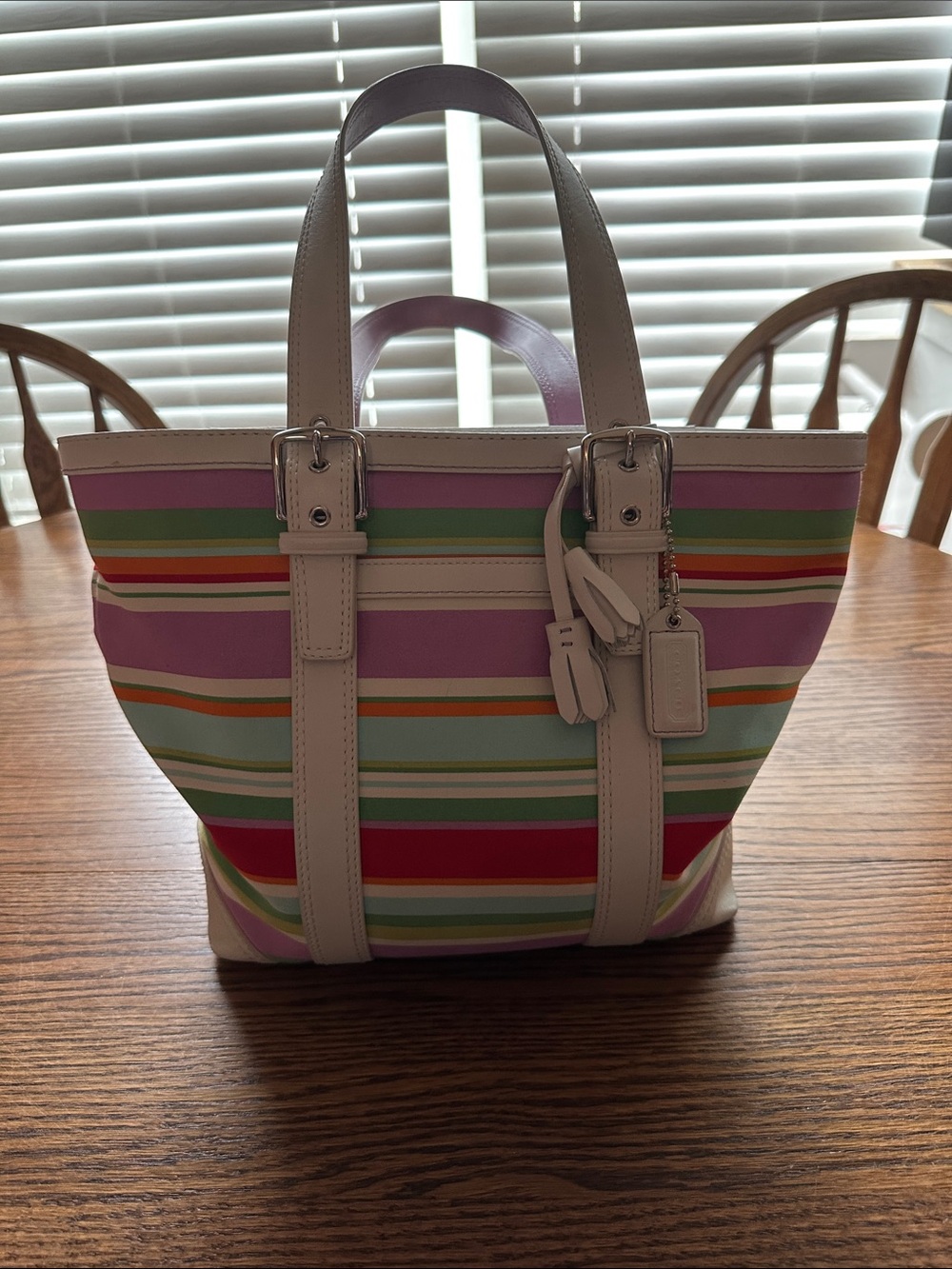 Coach Hampton Striped Hobo with White Trim